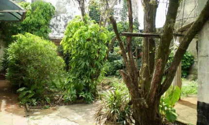 Casa com 3 quartos à venda no Centro, Santa Bárbara D'Oeste 