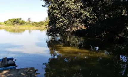Fazenda à venda no Bairro do Porto, Limeira 