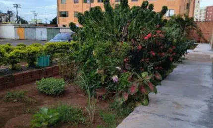 Venda - Apartamento - Conjunto Habitacional Roberto Romano - Santa Bárbara D'Oeste - SP