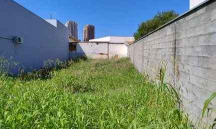 Venda - Terreno - Vila Mac Knight - Santa Bárbara D'Oeste - SP
