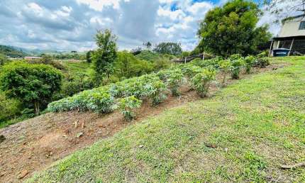 Chácara à venda, 7482.17 m2 por R$450000.00  - Colonia Antonio Prado - Colombo/PR