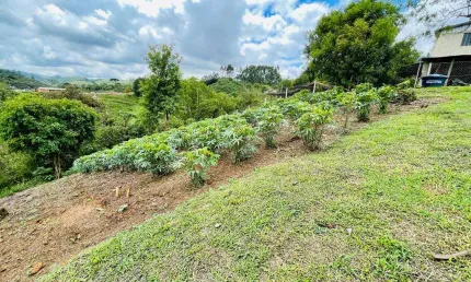 Chácara à venda, 7482.17 m2 por r$450000.00  - colonia antonio prado - colombo/pr