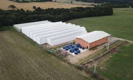 Chácara à venda, 30000.00 m2 por R$1590000.00  - Passa Dois - Lapa/PR