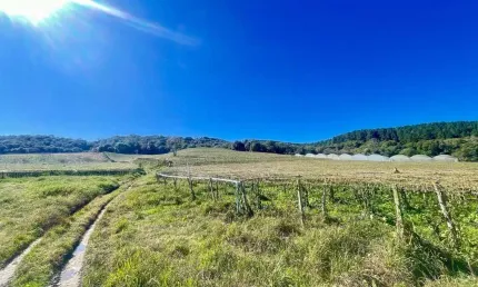 Área à venda, 51831.00 m2 por r$900000.00  - aguas fervidas - colombo/pr