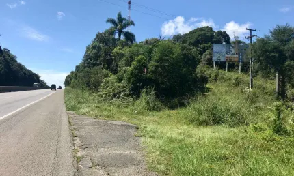 Área à venda, 121000.00 m2 por r$2200000.00  - borda do campo - sao jose dos pinhais/pr