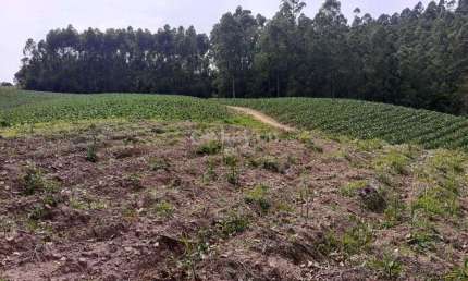 Terreno à venda no Rio do Pouso, Tubarão 