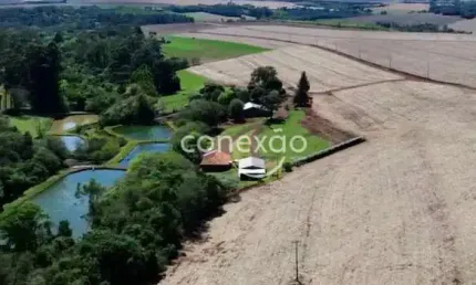 Chácara / sítio à venda na Área Rural de Toledo, Toledo 