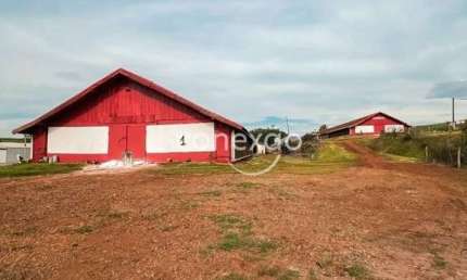 Chacara a venda com aviario, SEDE ALVORADA-CASCAVEL-PR