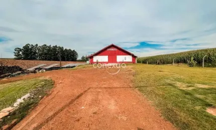 Chacara a venda com aviario, sede alvorada-cascavel-pr