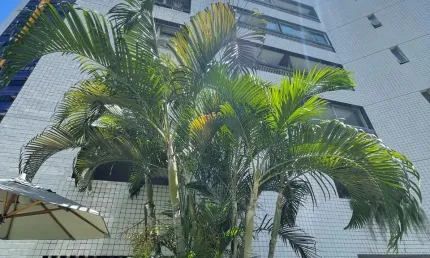 Apartamento com 3 quartos à venda na Rua Félix de Brito Melo, 912, Boa Viagem, Recife