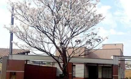 Casa para Venda em Londrina, Andes, 3 dormitórios, 1 suíte, 2 banheiros