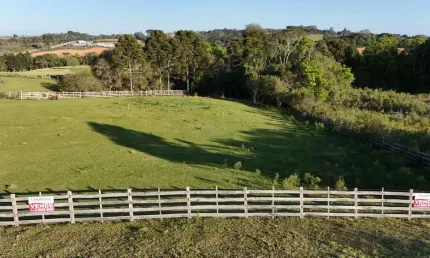 Terreno para Venda em Contenda, Localidade de Serrinha
