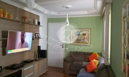 Apartamento para venda no jardim dos oliveiras em campinas - 2 quartos
