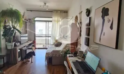 Apartamento para venda no cambuí em campinas - façanha imóveis campinas