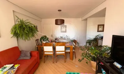 Apartamento para venda no Cambuí em Campinas - 3 quartos