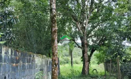 Terreno à venda em Monsenhor Horta, Mariana  por R$ 190.000