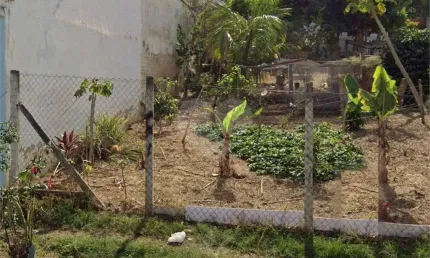 Terreno à venda na ÁUstria, Jardim Celani, Salto