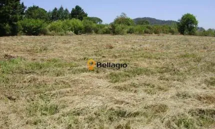 Terreno à venda Diácono João Luiz Pozzobon Santa Maria/RS