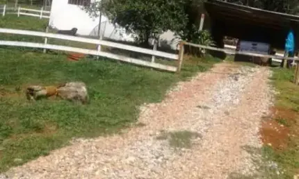 Chácara / sítio à venda na Pocinho, Itaiacoca, Ponta Grossa
