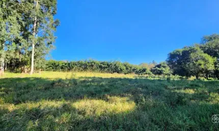 Terreno à venda na Rua Padre José Bugatti, Colônia Dona LuÍza, Ponta Grossa