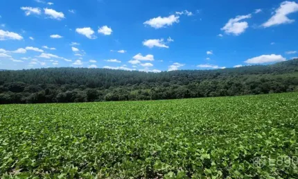 Chácara / sítio à venda no Centro, Prudentópolis 