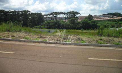 Terreno à venda na Av. Aderly Tureck, 70, Uvaranas, Ponta Grossa