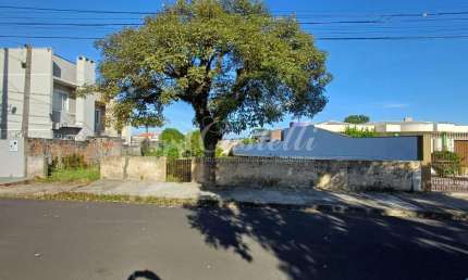 Terreno à venda,600.00 m , Orfãs, PONTA GROSSA - PR