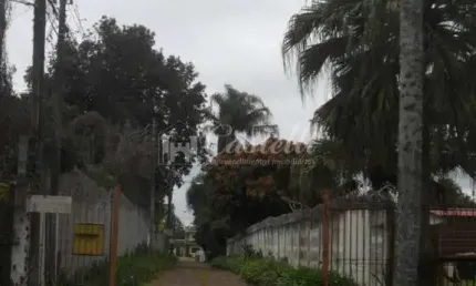 Casa para locação, Colonia Dona Luiza, PONTA GROSSA - PR