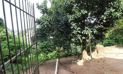 Casa Residencial à venda, Jardim Bela Vista, Mauá - CA0280.