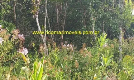Terreno à venda na Rua Elisa Maria De Oliveira, s/n, Jardim Maramba, Itanhaém