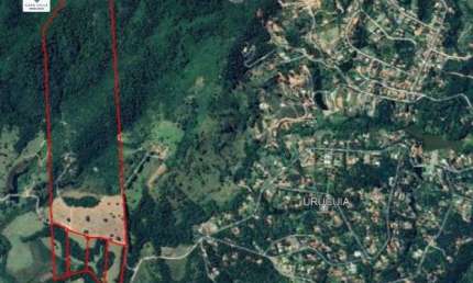 Vendo fazendinhas de 20.000 m2 ao lado do Condomínio Ipê Amarelo