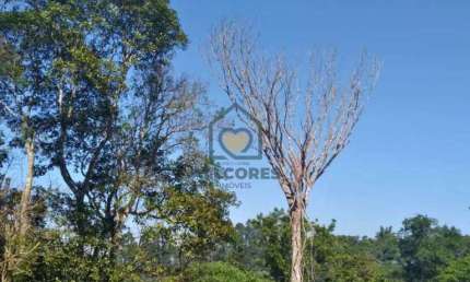 Terreno, Vila Moraes, Mogi das Cruzes - R$ 106 mil, Cod: 481
