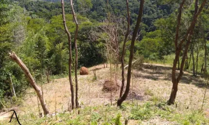 Terreno com uma belíssima vista para o verde de Ipiabas