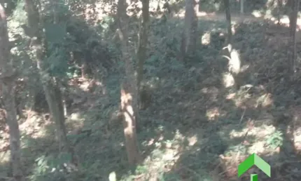 Vendo Terreno com 587 m2, plano no Vale Verde 1 em Ipiabas