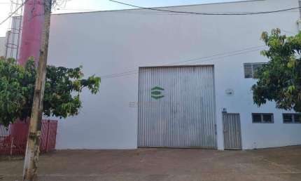 Barracão para alugar, 1000 m² por R$ 16.250,00/mês - Chácara Jockey Club (Zona Rural) - São José do Rio Preto/SP