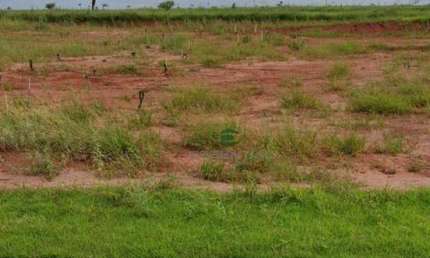 Terreno à venda, 250 m² por R$ 105.000 - Centro (Engenheiro Schmitt) - São José do Rio Preto/SP