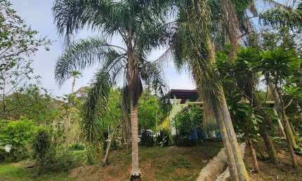 Chácara / sítio com 2 quartos à venda no Sertãozinho, Biritiba-Mirim 