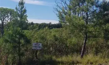 Terreno à venda no são luiz, caxias do sul , 360 m2 por r$ 200.000
