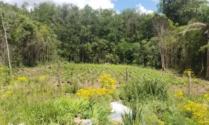 Terreno à venda no Desvio Rizzo, Caxias do Sul  por R$ 155.000