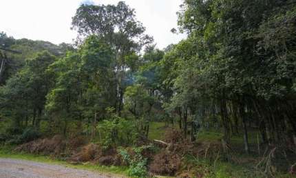Terreno à venda no Jardim Eldorado, Caxias do Sul  por R$ 490.000