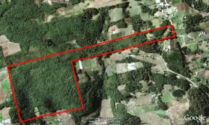 Chácara / sítio à venda na linha palmeiro, farroupilha , 259200 m2