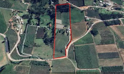 Chácara / sítio à venda no São Luiz, Farroupilha , 50000 m2 por R$ 2.000.000