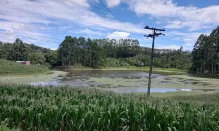 Chácara / sítio à venda na Santa Luiza, Carlos Barbosa , 25000 m2 por R$ 650.000
