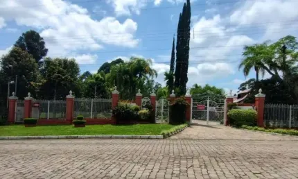 Chácara / sítio à venda na Linha Palmeiro, Farroupilha , 5000 m2 por R$ 3.000.000