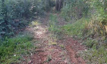 Chácara / sítio com 3 quartos à venda na Zona Rural, Farroupilha , 80 m2 por R$ 1.200.000