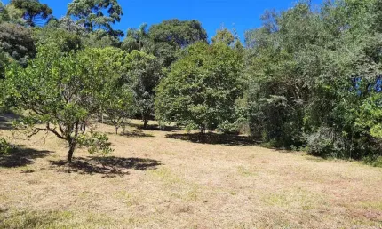 Chácara / sítio à venda em Forqueta, Farroupilha  por R$ 585.000