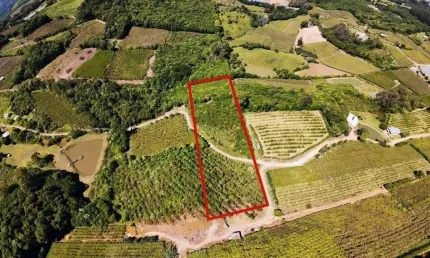 Terreno à venda no Jansen, Farroupilha  por R$ 400.000