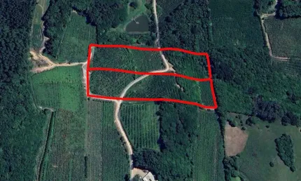 Terreno à venda no Jansen, Farroupilha 
