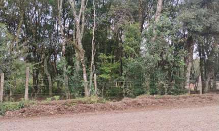 Terreno à venda na Nossa Senhora do Rosário, Caxias do Sul  por R$ 690.000