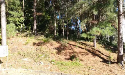 Terreno à venda na colina sorriso, caxias do sul  por r$ 260.000